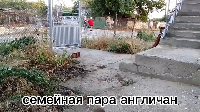 Болгария. с. Росеново, жаркие диалоги жителей.