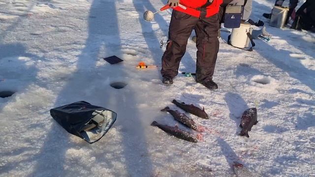 21-02-2025 смотреть онлайн