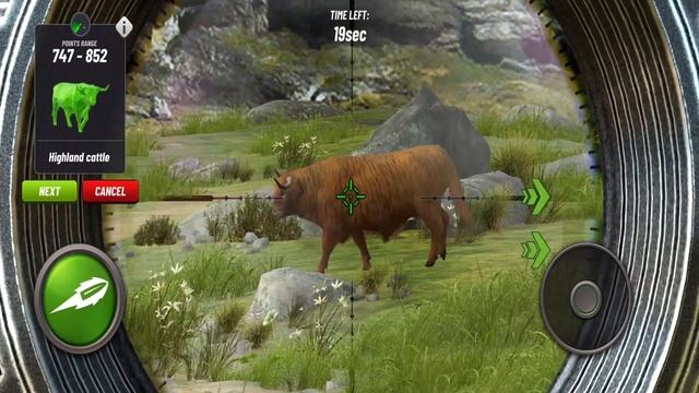 New Animal: Highland Cattle - Hunting Clash Gameplay Ep100 смотреть онлайн