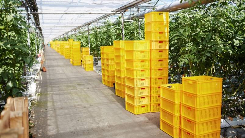 Сибур Агропромышленный комплекс #35 Казан Агро 2025 смотреть онлайн