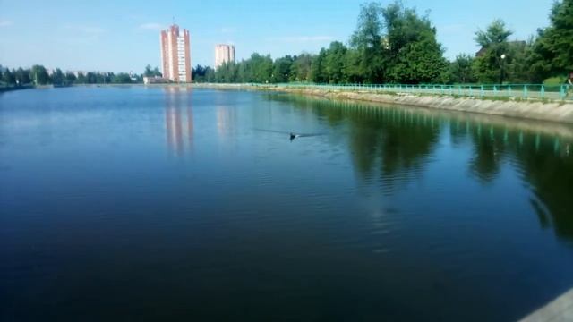 Радиоуправляемый профиль утки "Электроник 30". смотреть онлайн