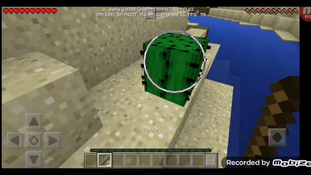 обида на кактус