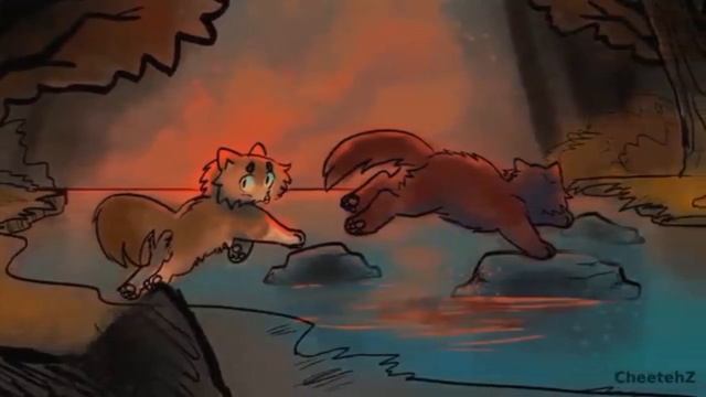 Коты-Воители °Жëлудь° клип - {Bloody Mary} смотреть онлайн