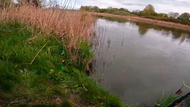 24 Stunden am Teich angeln..... was geht da?? Karpfenangeln und Feedern im April 2024 смотреть онлайн