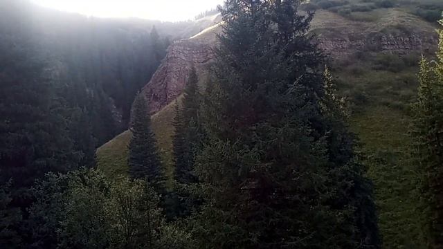 Дикая малина смотреть онлайн