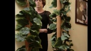 Crossdresser Mira - The Mirror Lady