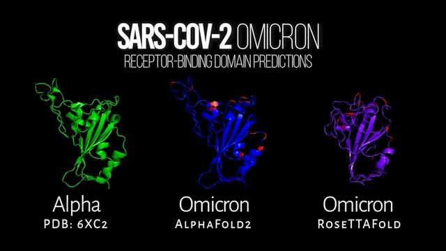 Predicted SARS-CoV-2 Omicron (B.1.1.529) Receptor-Binding Domains смотреть онлайн