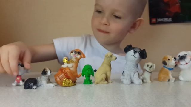 Обзор коллекции собачек смотреть онлайн