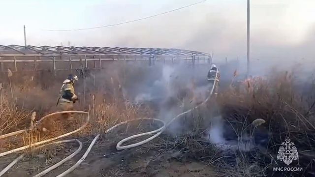 Горит камыш смотреть онлайн