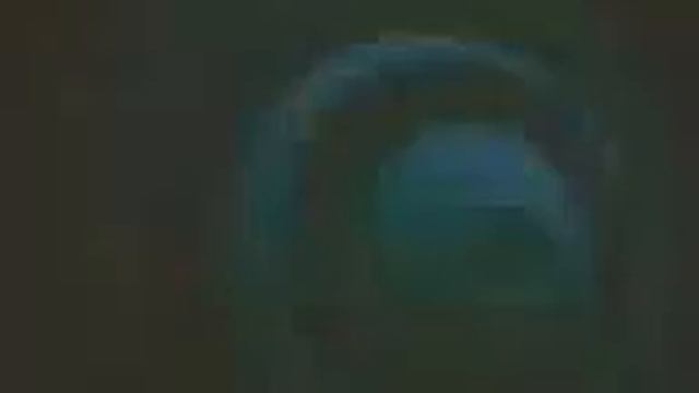 Виктор Цой сосны на морском берегу