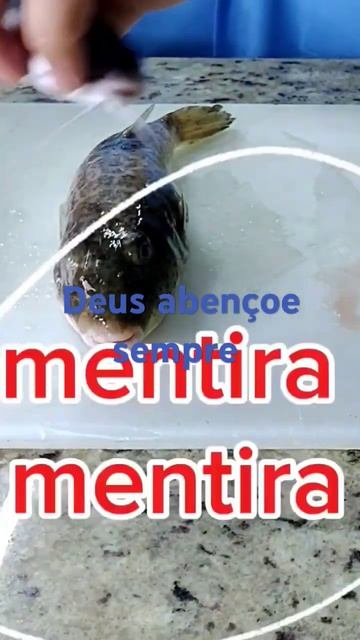 #veneno do baiacu смотреть онлайн