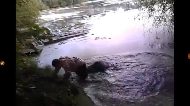 Сумасшедший портит вещи! смотреть онлайн
