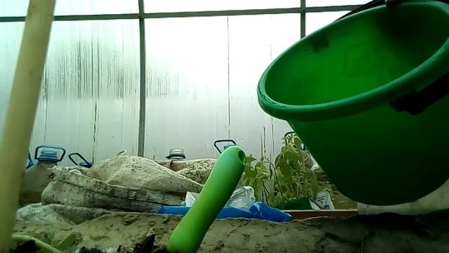 27. Мой способ посадки томатов в грунт. смотреть онлайн