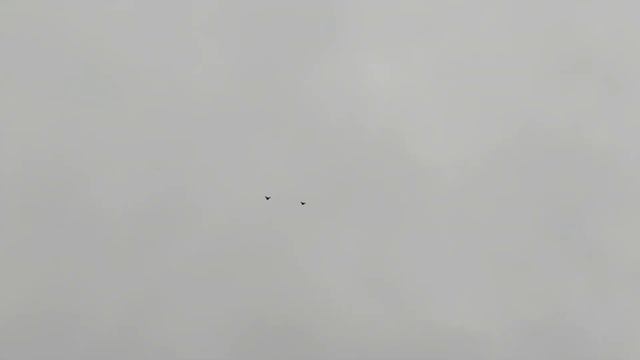 Вот я и поднимать стал своих Николаевских смотреть онлайн