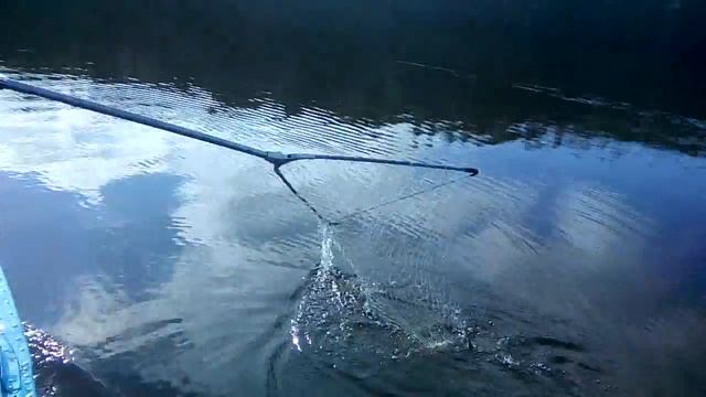 Вот это рыбалочка)) смотреть онлайн