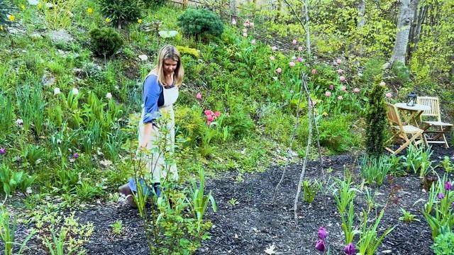 Cottage Garden Tour (Late Spring)