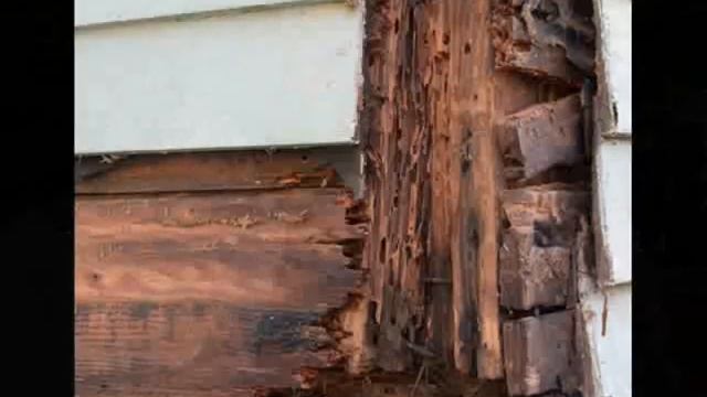 411 Pacoima Wood Repair call Shafran 818-322-4995 смотреть онлайн