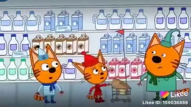 Ты чё дурак шоле