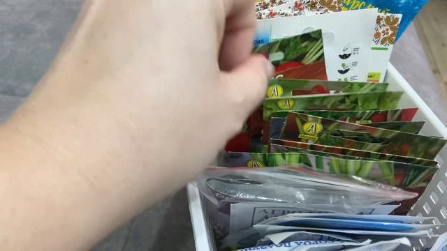 Что я буду сеять в ближайшие дни. Кампанула укоренилась. смотреть онлайн