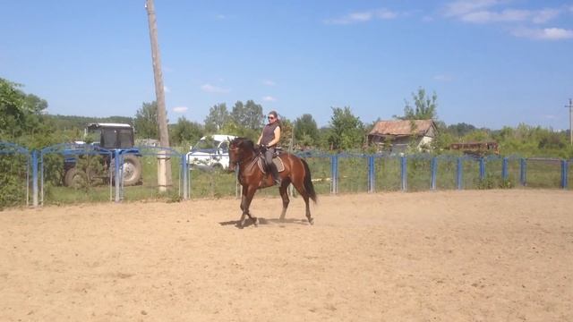 IMG 3031 смотреть онлайн