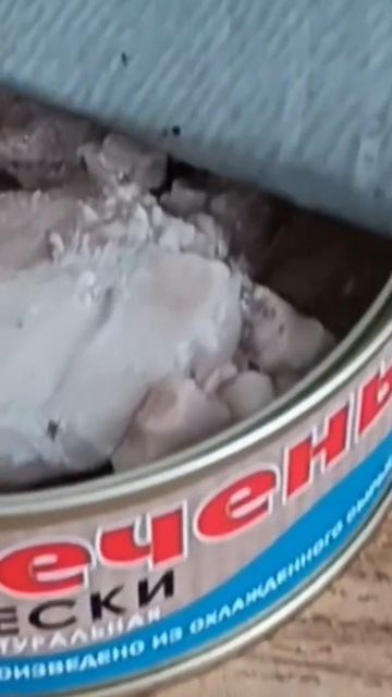 Печень трески Мурманск г. Самара