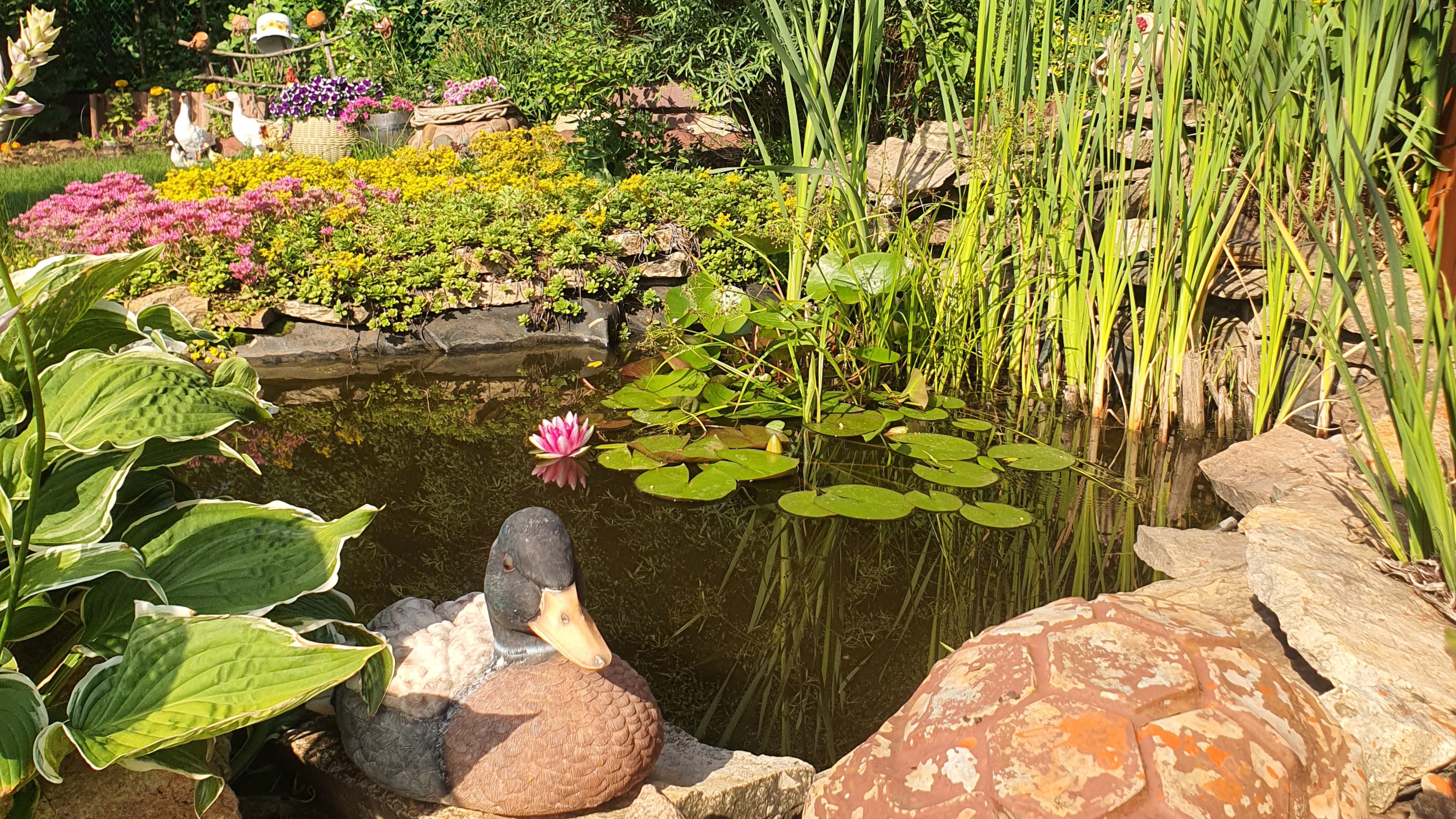 Video-output-569488EE-99B1-4189-BDC2-BC4127BDA17D