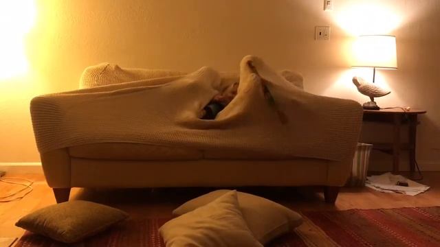 Говорящий Диван! смотреть онлайн