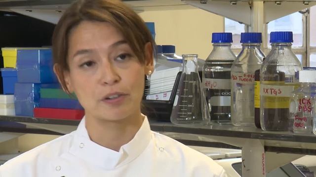 Vanessa Sancho Shimizu: We Are International смотреть онлайн
