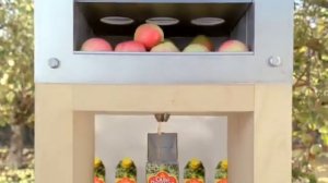 Реклама Сады придонья (2010)