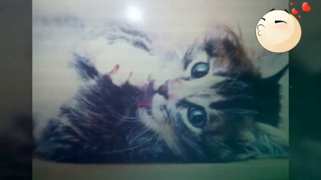 Для поднятия настроения