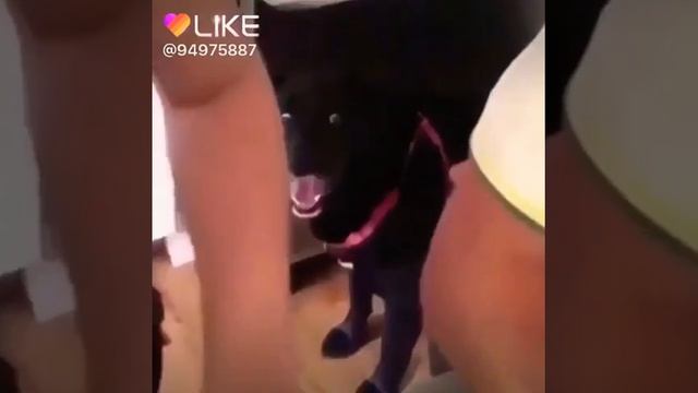 Когда увидел что режут друга😂 смотреть онлайн