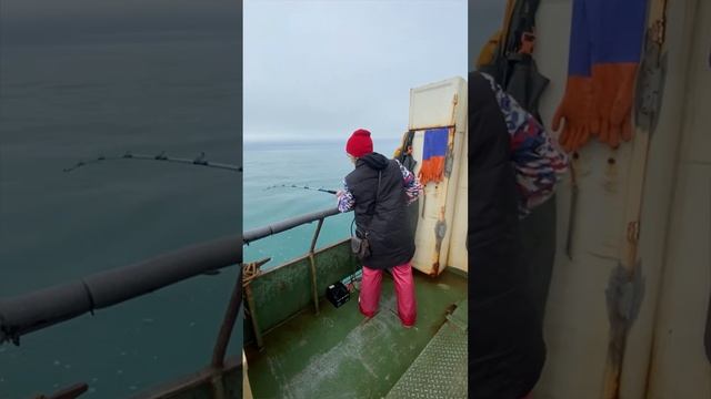 Как мы смотрели китов в Териберке смотреть онлайн