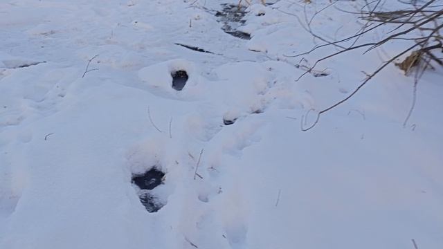 продолжение экскурсии