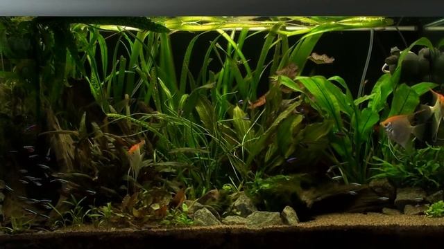 275 liter community 4/4 2013, more changes! смотреть онлайн