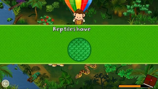 Monkey Preschool Animals #4