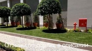 ACANTHUS CENNET BARUT COLLECTION СИДЕ ТУРЦИЯ