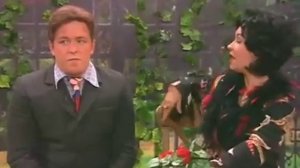 большая разница  пародия   Давай поженимся