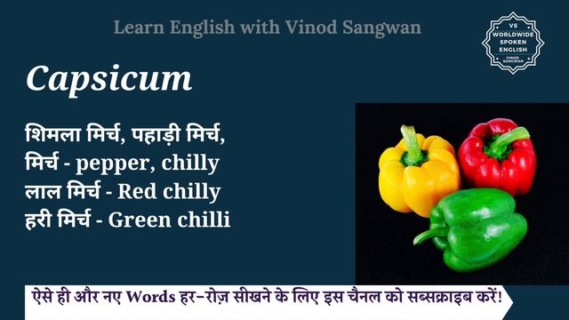 Capsicum meaning in Hindi | Capsicum ka matlab kya hota hai смотреть онлайн