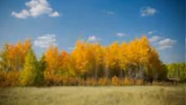 Запізнілий ключ журавлів. смотреть онлайн