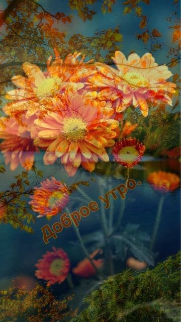 Доброе утро. смотреть онлайн