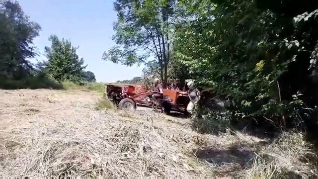 Село Липы смотреть онлайн