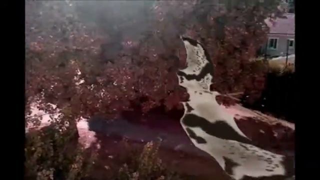 quetzalcoatlus passent... смотреть онлайн