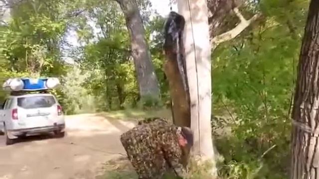 Рыбаки поймали большого сома смотреть онлайн