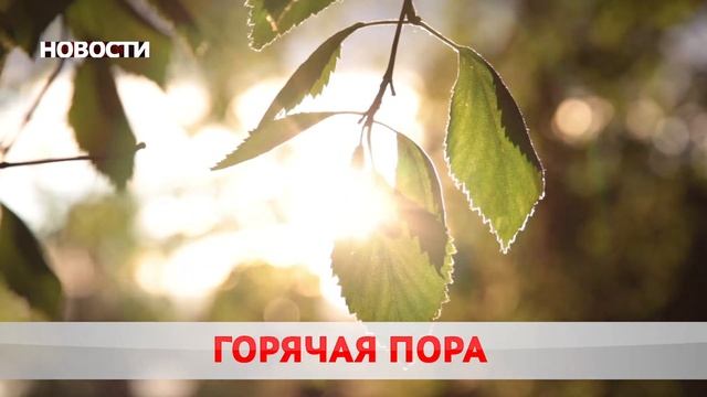 Новости 08 07 21 смотреть онлайн