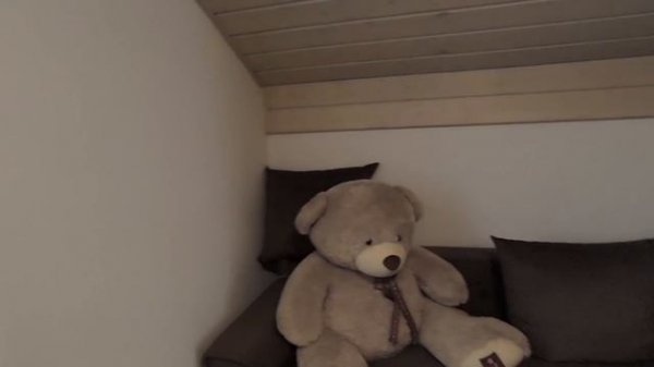 video5316885481965778351