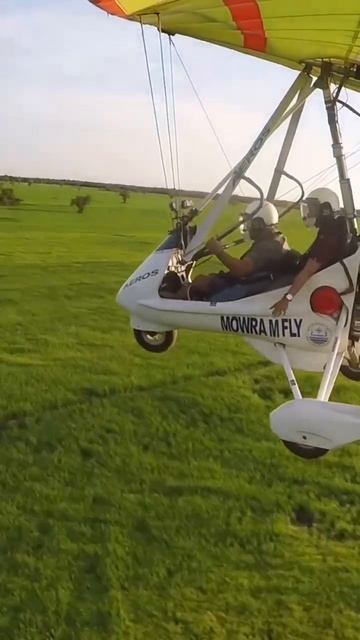 Morning landscape смотреть онлайн