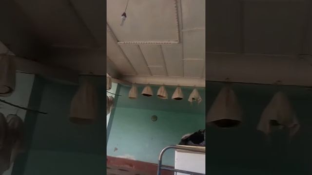 Бедана 2018 Амирбек 23 апрель смотреть онлайн
