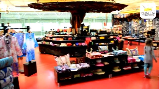 Shark Shop смотреть онлайн