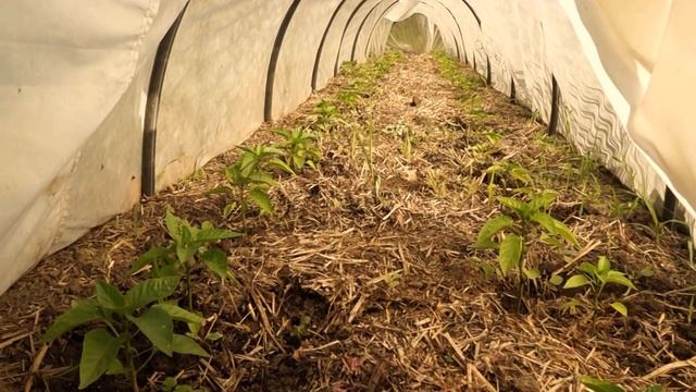Город для початківців. смотреть онлайн