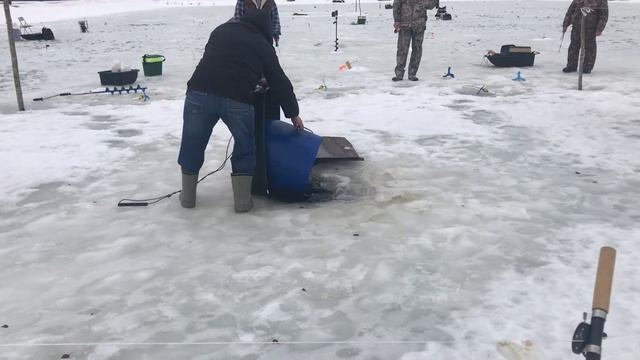 Зарыбление форели РК «Фишка» Петряиха смотреть онлайн